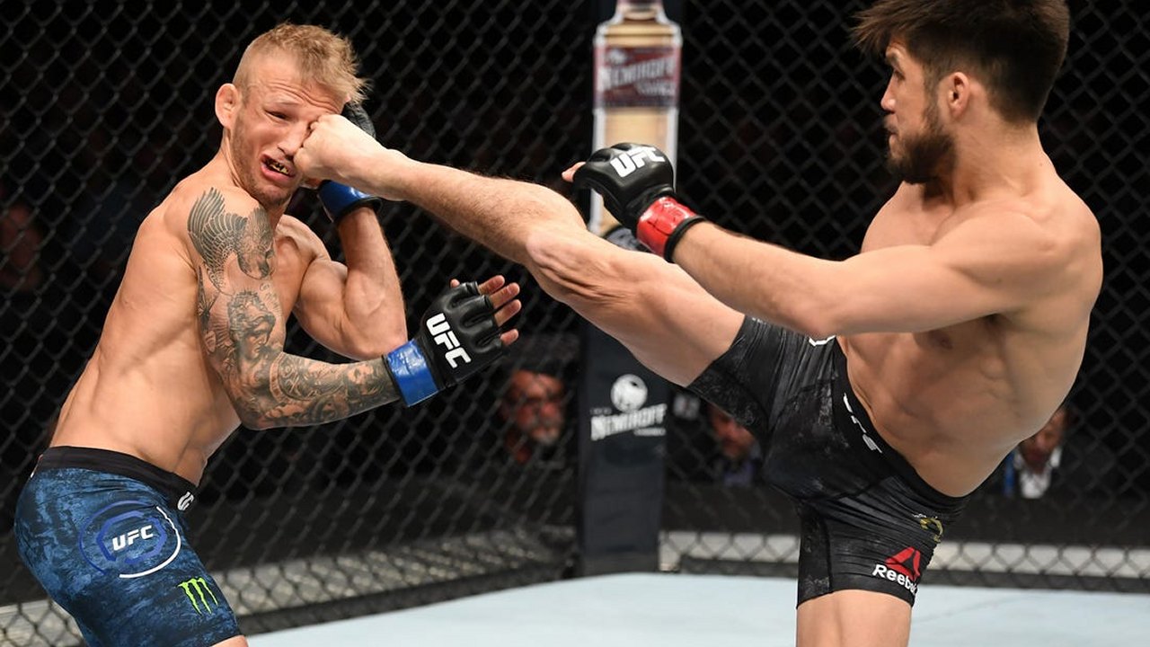 Тяжёлый вес UFC