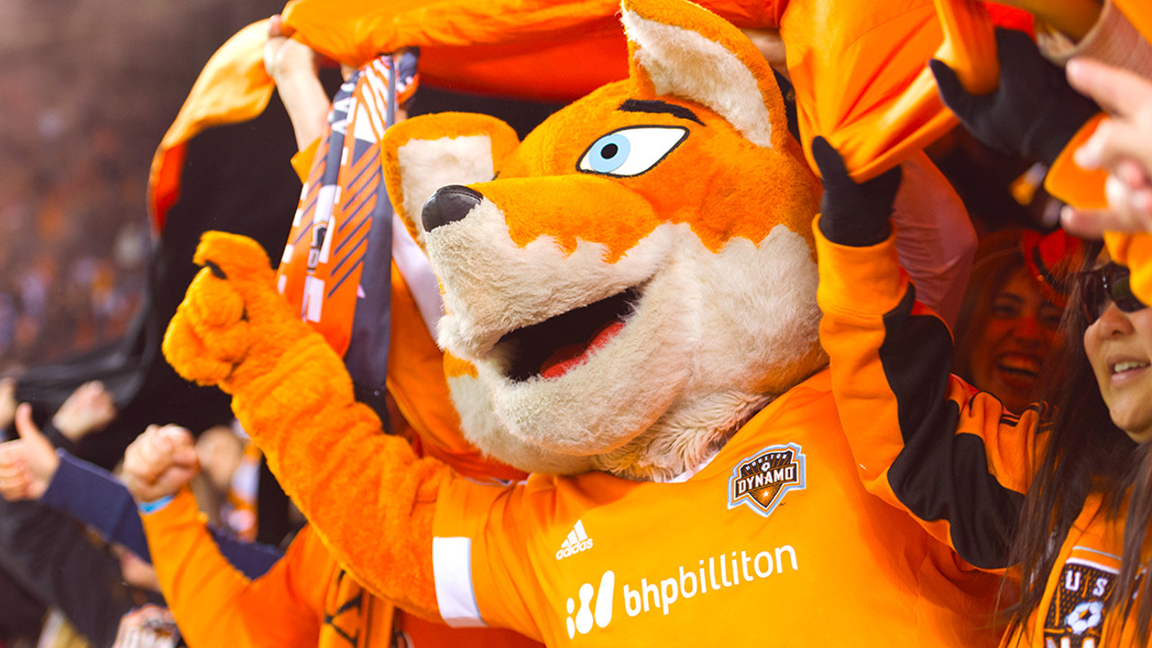 Houston Dynamo FC fan art 4