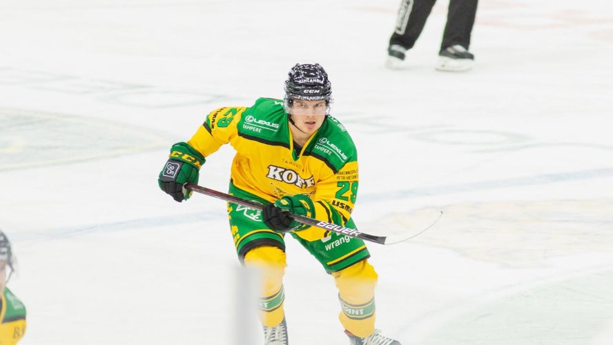 Ilves