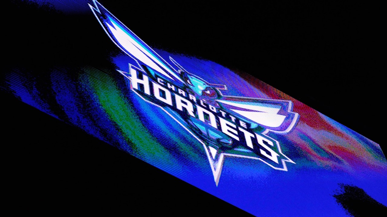 Charlotte Hornets fan art 2