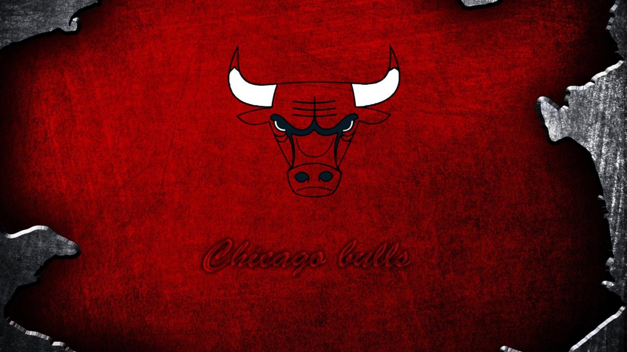 Chicago Bulls fan art 4