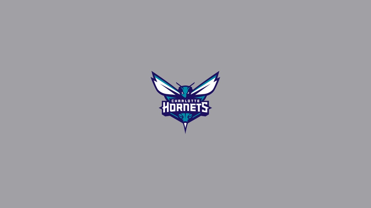 Charlotte Hornets fan art 3