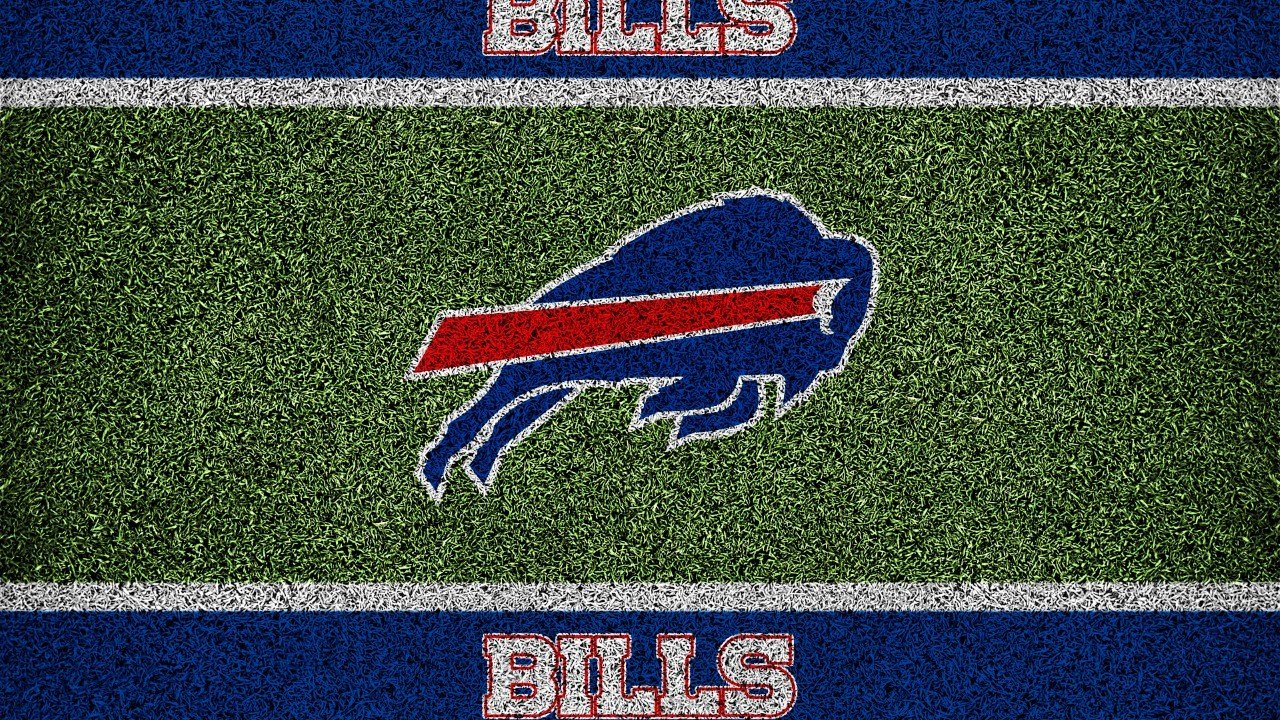 Buffalo Bills fan art 1