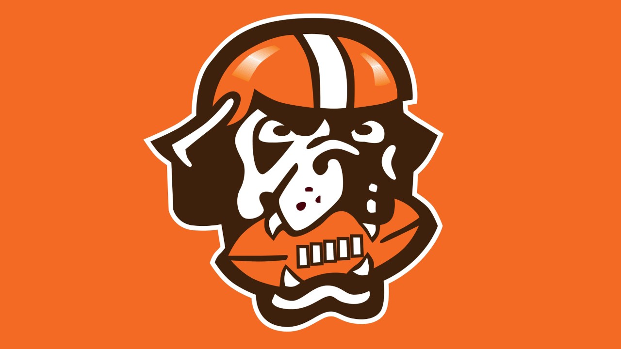 Cleveland Browns fan art 1