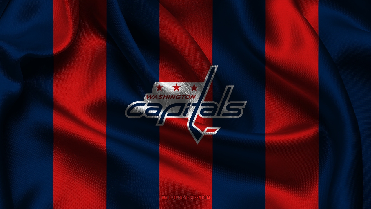 Washington Capitals fan art 1