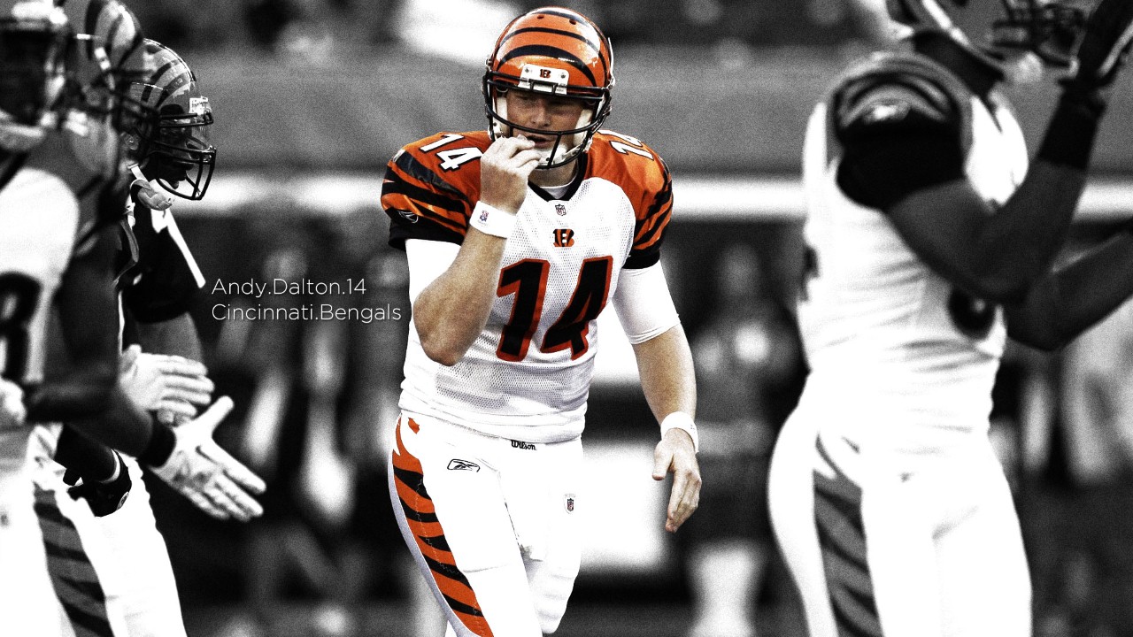Cincinnati Bengals fan art 3