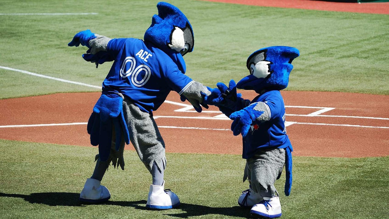 Toronto Blue Jays fan art 4