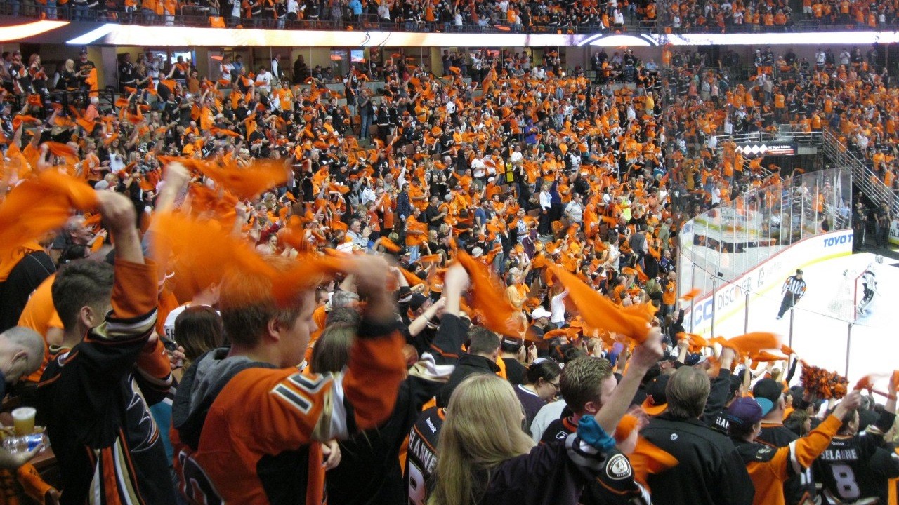 Anaheim Ducks fan art 4