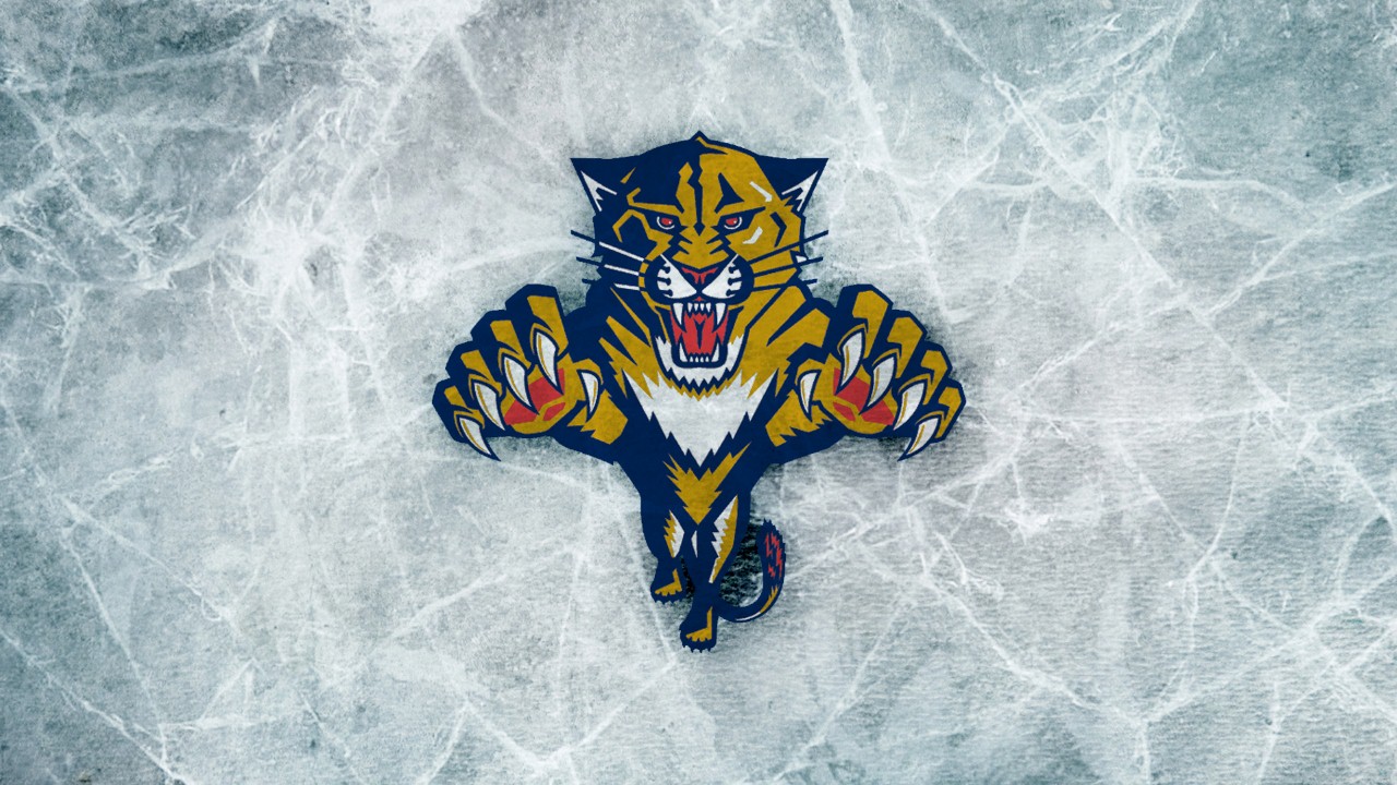 Florida Panthers fan art 1