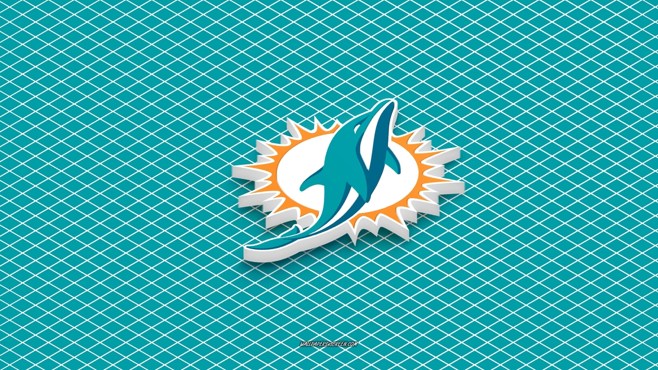 Miami Dolphins fan art 1