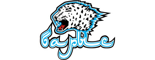 team logo