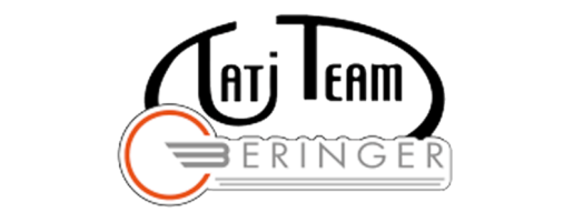 team logo