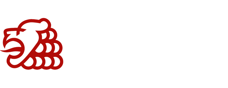 Braunschweig Lions