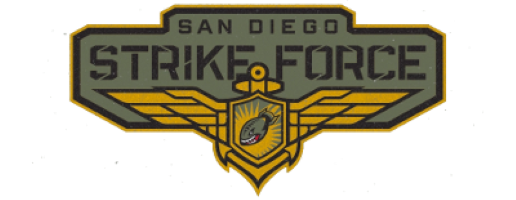 team logo
