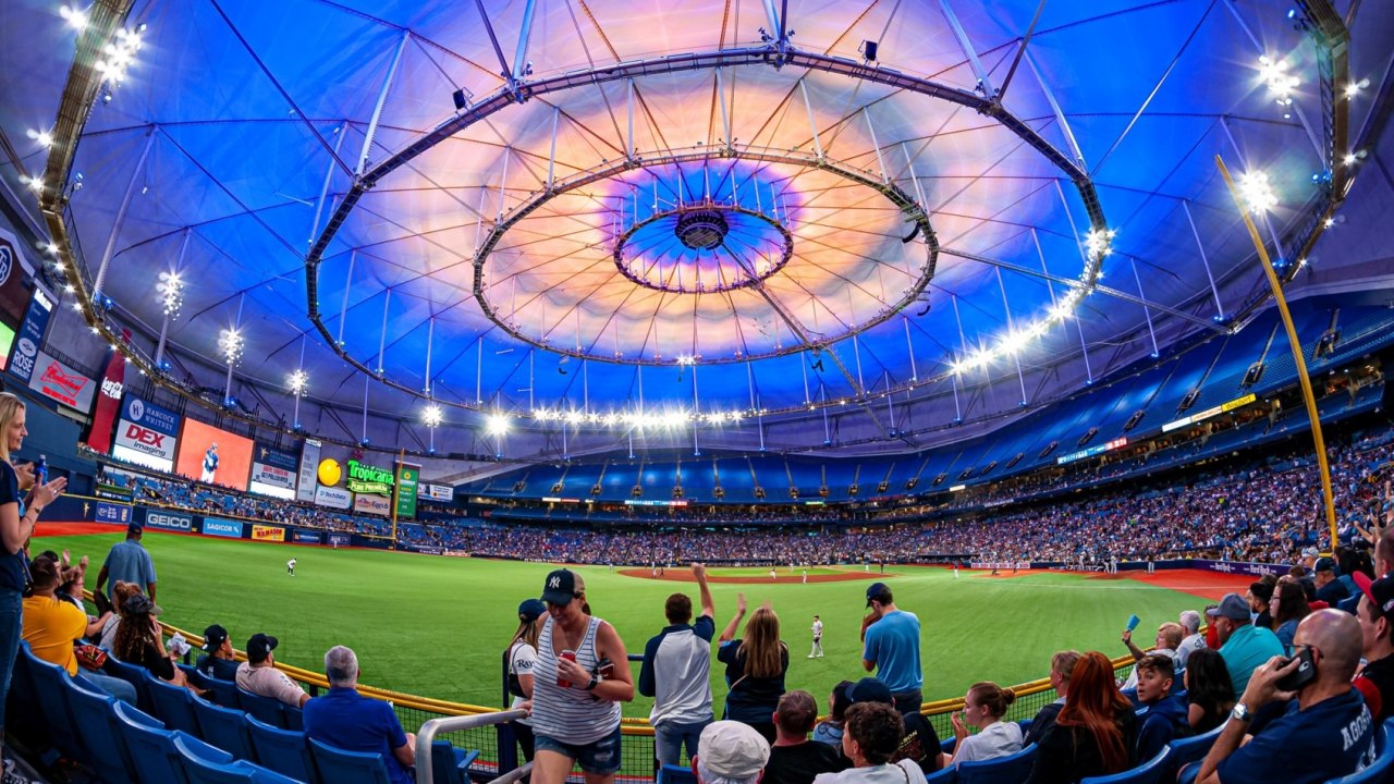 Tropicana Field photo 4