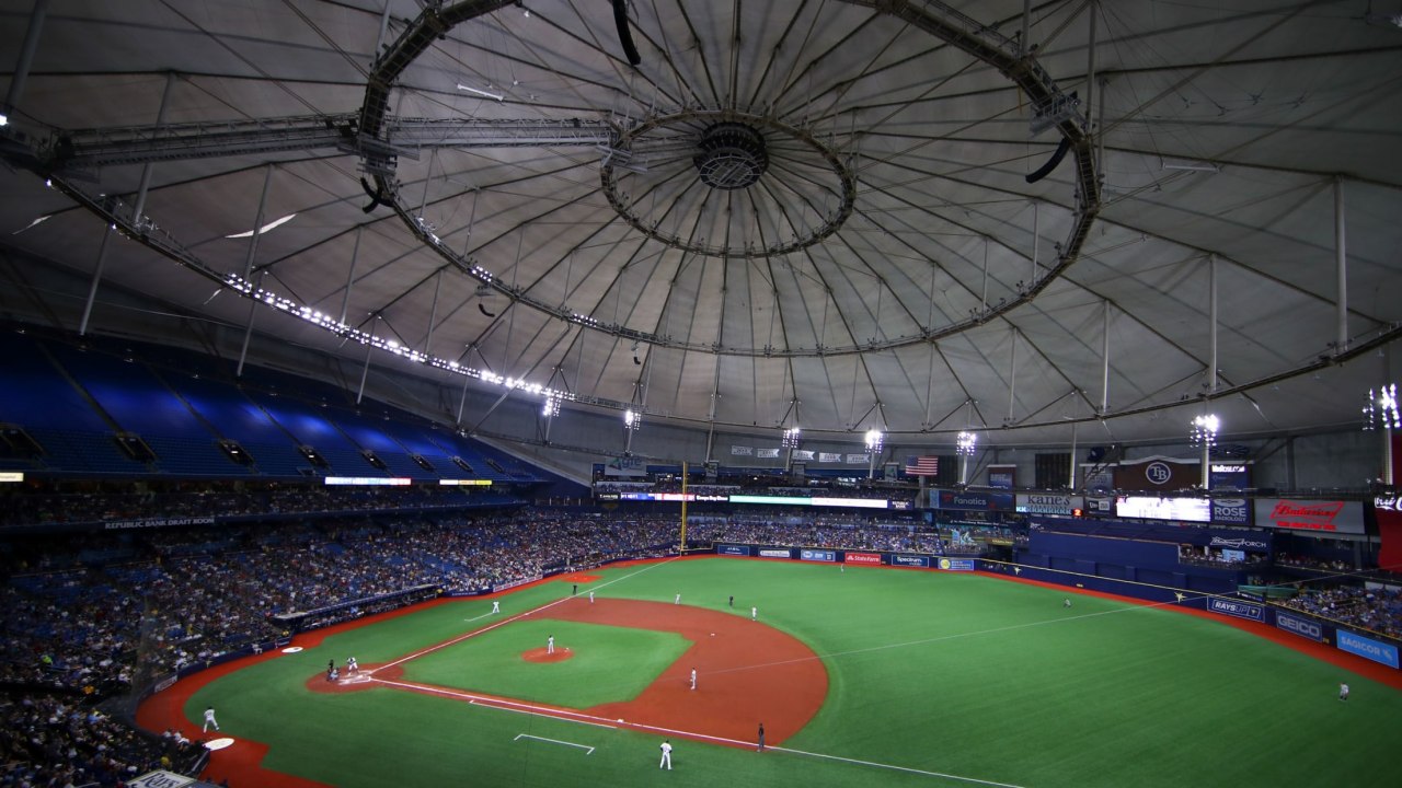 Tropicana Field photo 3